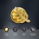 Gilt Metal Acacia Leaf Masonic Lapel Pin 