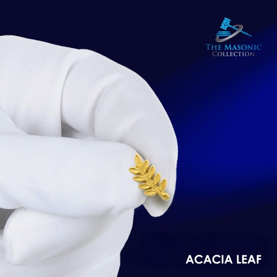 Gilt Metal Acacia Leaf Masonic Lapel Pin 