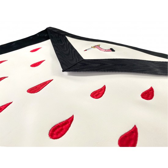 ASSR - Scottish Rite 9th Degree Apron