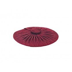Craft Stewards Apron Rosettes