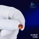 Order of the Scarlet Cord Lapel Pin Badge