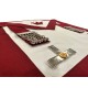 Order of Athelstan Past Masters Apron