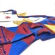 Bargain Scottish Royal Arch Companions Apron, Sash, Jewel & Gloves
