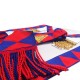 Royal Arch Companions Apron & Sash