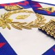 Royal Arch Grand Chapter Lambskin Apron & Collar