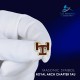 Royal Arch Chapter Discreet Tau Badge