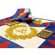 Royal Arch Grand Chapter Lambskin Apron & Collar