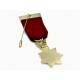 Scottish Red Cross of Babylon Past Chief Breast Jewel