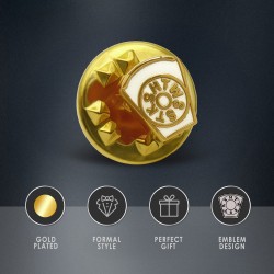 Discreet Gilt Metal HTWSSTKS Mark Keystone Masonic Pin