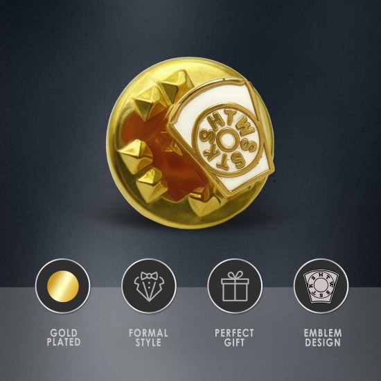 Discreet Gilt Metal HTWSSTKS Mark Keystone Masonic Pin