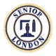 Senior London Grand Rank Undress & Dress Apron Badge and Collar Jewel