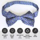 Masonic Craft 100% Silk Bow Tie