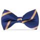 OSM 100% Silk Woven Masonic Bowtie