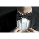 Masonic 100% Silk Woven Rose Croix Spotty Bowtie