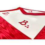 ASSR - Scottish Rite Master Masons MB with Square & Compass Apron