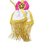 Rose Croix 33rd Degree Sash