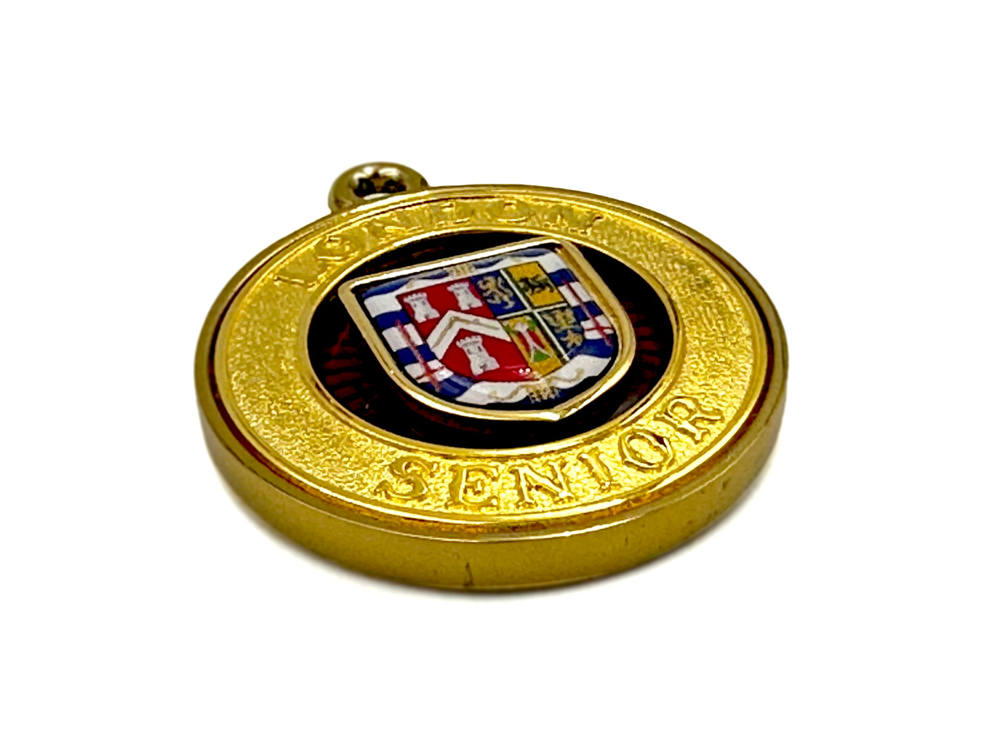 Royal Arch Metropolitan Grand Officers Collarette Jewel